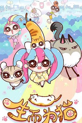 娄烦seo优化趋势